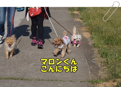 DSC01740.JPG