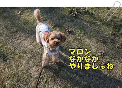 DSC01773.JPG