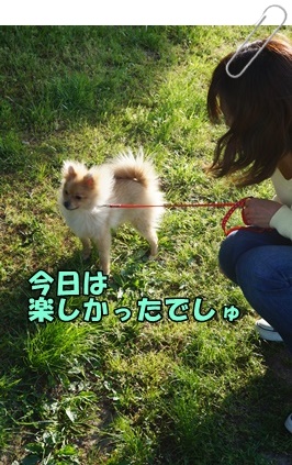 DSC01778.JPG