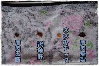 DSC01870.JPG