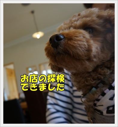 DSC02489.JPG