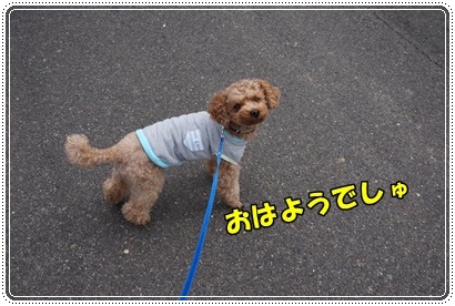 DSC02490.JPG