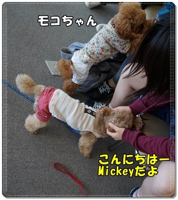 DSC02596.JPG