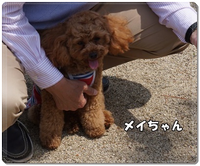 DSC02654.JPG