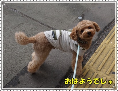 DSC02784.JPG