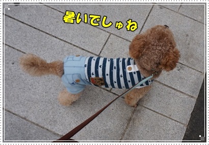 DSC02858.JPG