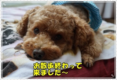 DSC02860.JPG