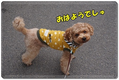 DSC02870.JPG