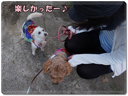 DSC03008.JPG