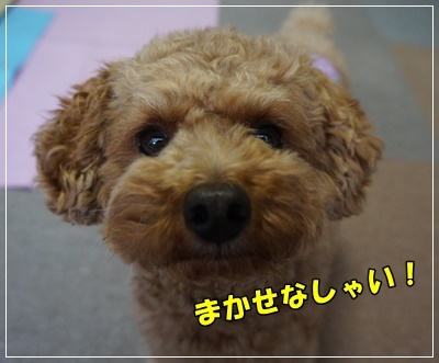 DSC03344.JPG