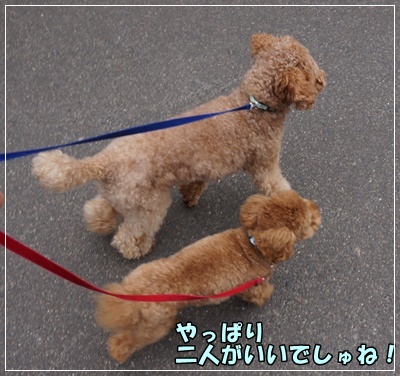 DSC03390.JPG