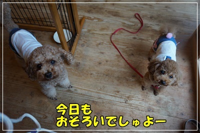 DSC03509.JPG