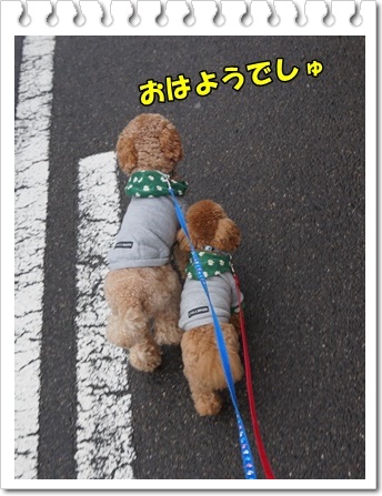DSC03524.JPG