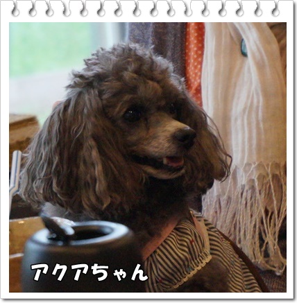 DSC03608.JPG