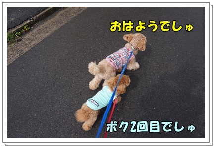 DSC03695.JPG