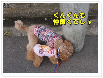 DSC03705.JPG