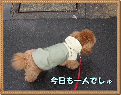 DSC03788.JPG