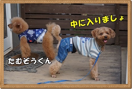 DSC03869.JPG