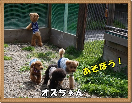 DSC03923.JPG
