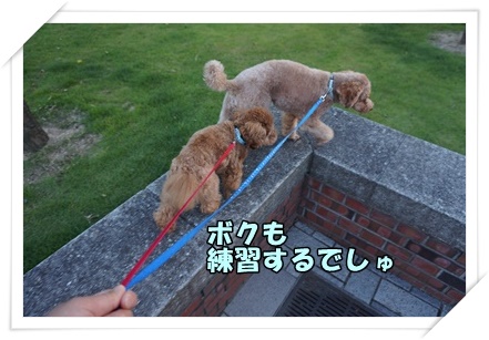 DSC04052.JPG