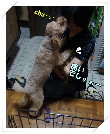 DSC04128.JPG