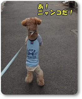 DSC04185.JPG