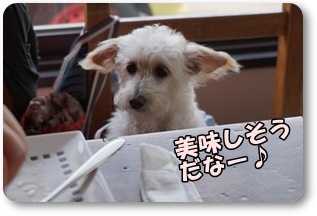 DSC04216.JPG