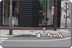 DSC04357.JPG