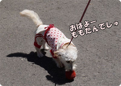DSC04505.JPG