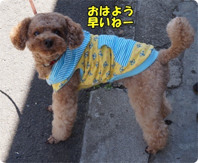 DSC04507.JPG