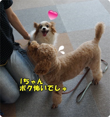 DSC04540.JPG
