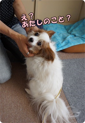 DSC04552.JPG