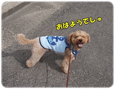DSC04586.JPG