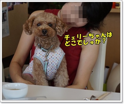 DSC04796.JPG