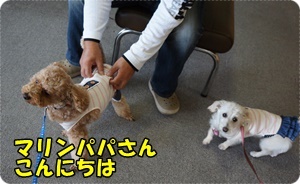 DSC04937.JPG