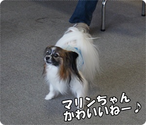 DSC04984.JPG