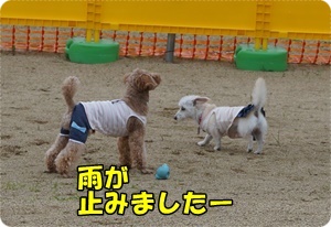 DSC05004.JPG