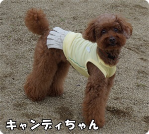 DSC05012.JPG