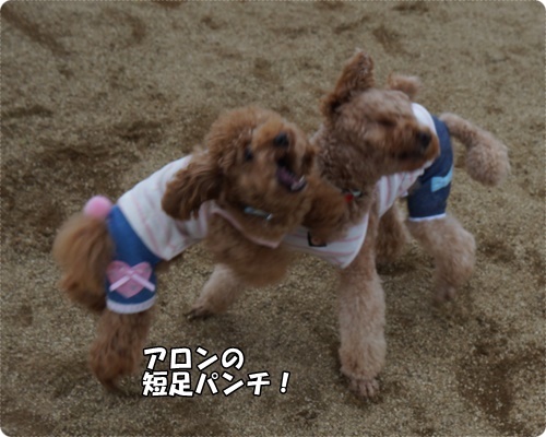 DSC05093.JPG