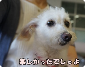 DSC05118.JPG