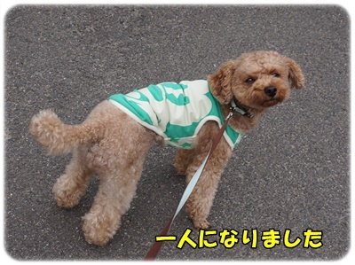 DSC05160.JPG