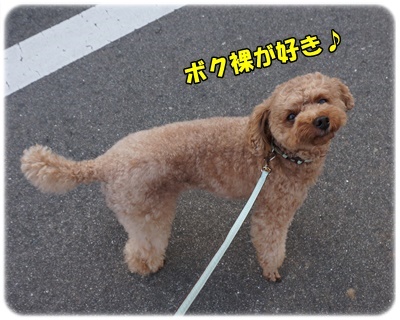 DSC05178.JPG
