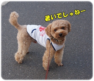 DSC05181.JPG