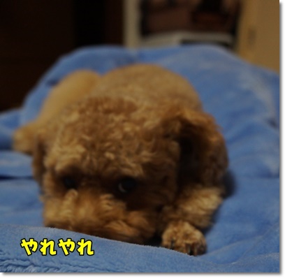 DSC05478.JPG