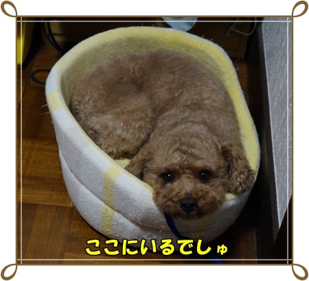 DSC05516.JPG