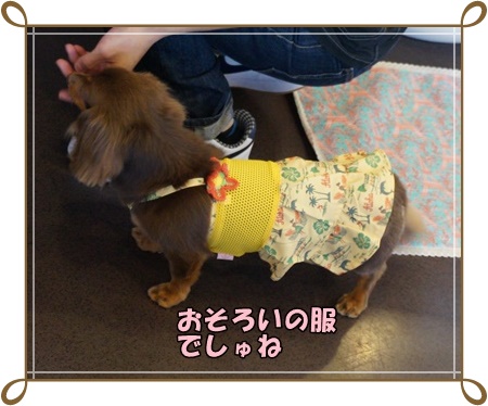 DSC05586.JPG