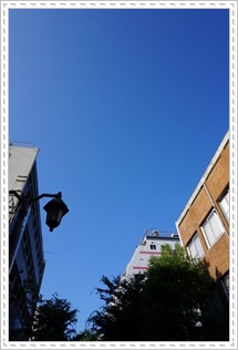 DSC05670.JPG