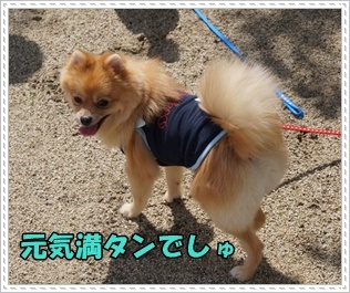DSC05718.JPG