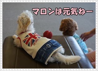 DSC05864.JPG