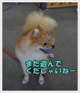 DSC05867.JPG